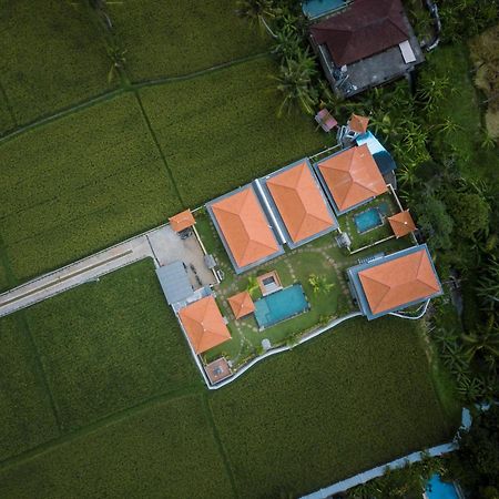 The Patra Ubud Экстерьер фото